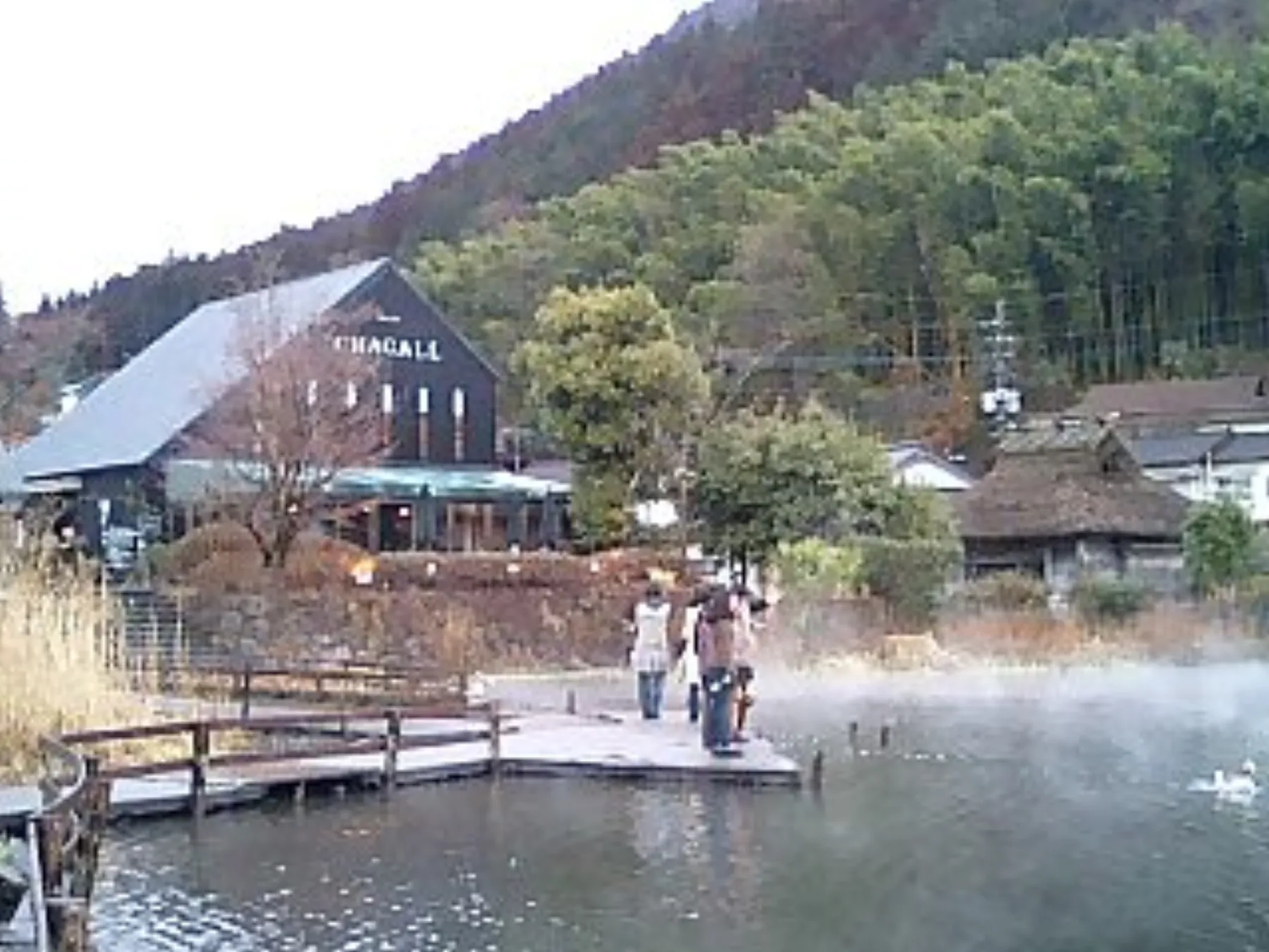 由布院金鱗湖實景